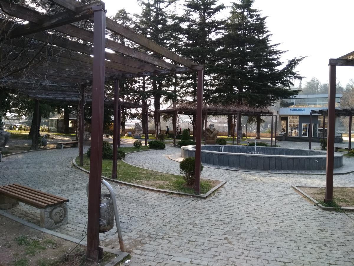 Hotel Mkudro 库塔伊西 外观 照片